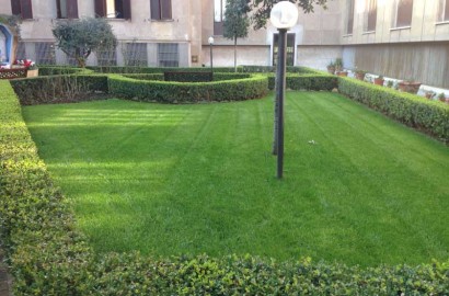 MANUTENZ GIARDINO 007